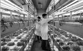 信息技術與生物技術雙輪驅動，開啟現代農業發展新篇章