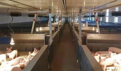 葉縣 招商引資風頭勁，鄉(xiāng)村振興活力增，科技中介服務(wù)賦能發(fā)展新格局